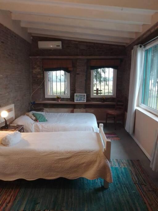 コロニア・デル・サクラメント La Nena: Casa De Campo A 15 Minutos Del Centro.ヴィラ エクステリア 写真